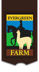 Evergreen Farm